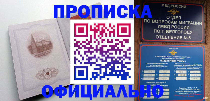 прописка для школы в Мурманске